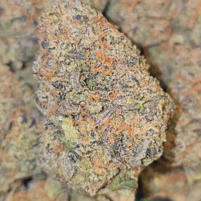 Premium FLOWER at Mr Weed cannabis dispensary Pattaya